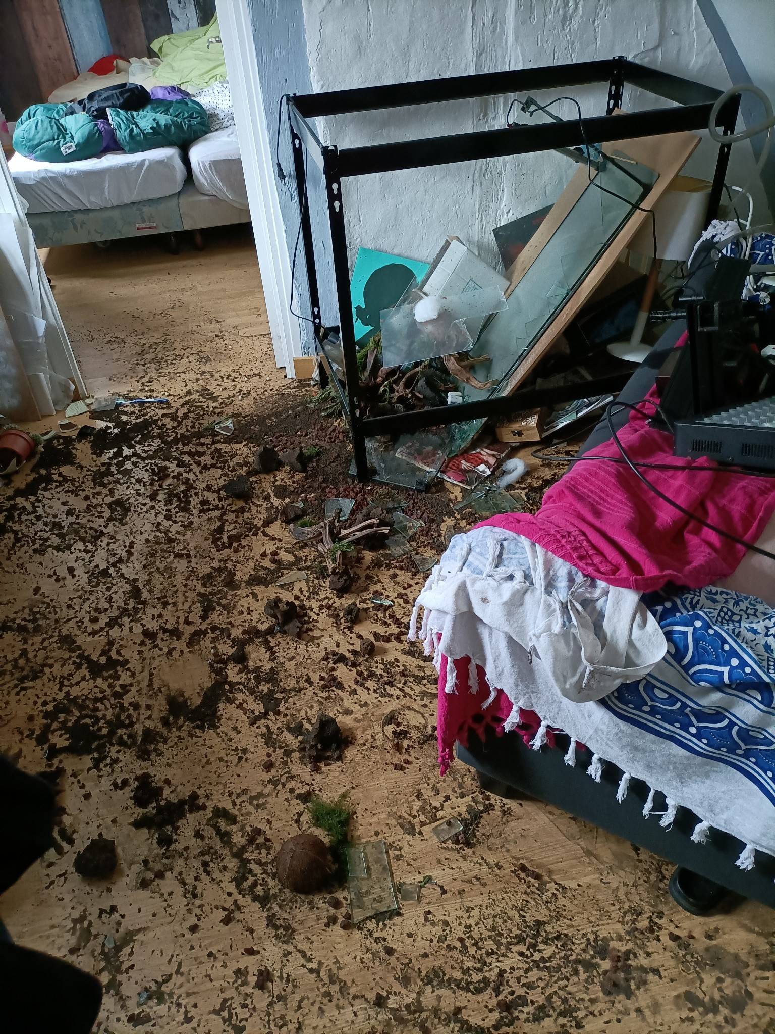 Nettoyage syndrome diogène