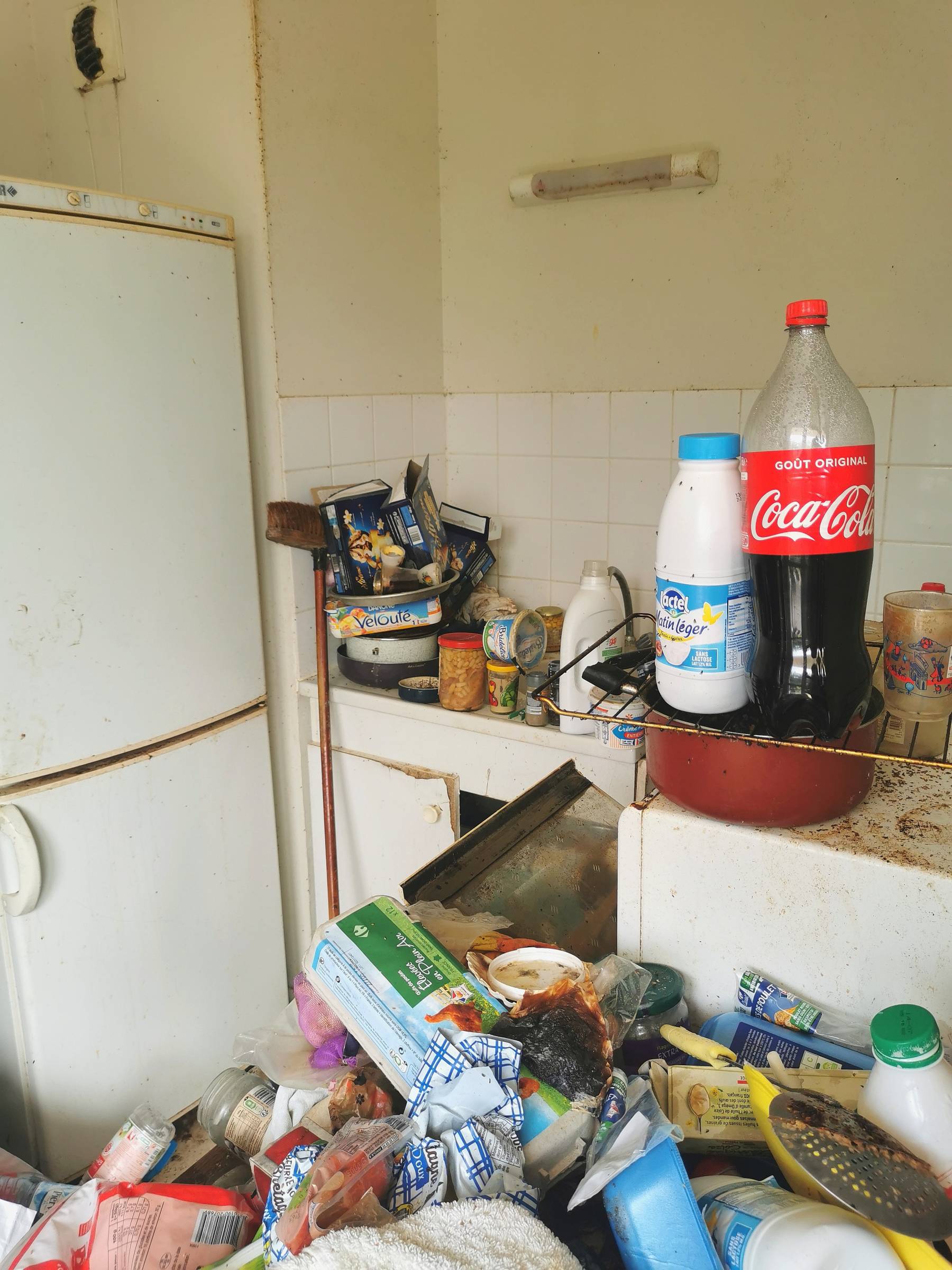 Nettoyage de logement après syndrome de Diogène et décès sur Grand-Quevilly