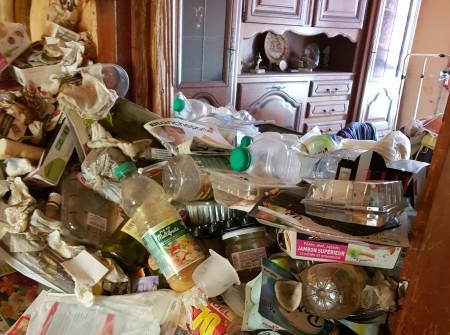 Nettoyage Diogène Rouen